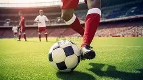 “巴坎布助力民主刚果农业发展：共绘可持续繁荣新篇章”